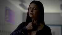 TVD321-120-Elena