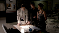 TVD320-117-20s Decade Dance-Klaus-Damon-Bonnie