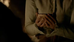 Shamanic tea of protection