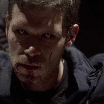 Hybrid The Vampire Diaries Wiki Fandom Hybrid The Vampire Diaries Wiki Fandom