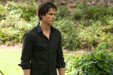 Damon-in-The-Vampire-Diaries-season-2-the-vampire-diaries-14823726-500-333