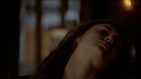 6X11-1-Elena