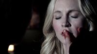 6X17-34-StefanCaroline.jpg (53 KB)