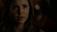 6X07-81-Elena