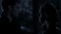 TO212-114-Klaus-Hayley