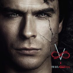 NIUMOWANG Vampire Diaries | Look Out Damon People Tin Poster 12 X 8 Inches