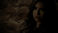 TVD204-077-Katherine~Stefan