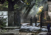 Lafayette cemetery