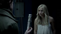 TVD410-145~Kol-Indestructible White Oak Stake-Rebekah.png (1.68 MB)