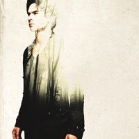 TVD7-Damon