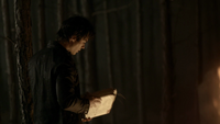 TVD113-138-Damon-Emily's Grimoire