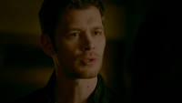 TO509-023-Klaus