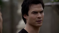 TVD220-018~Stefan-Damon