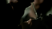 TVD117-037~Frederick-Vervain Drops