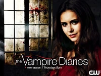 Season-4-promo-wallpaper-the-vampire-diaries-32578926-1023-768.jpg (498 KB)