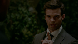 Elijah Mikaelson, Wikia Assista séries