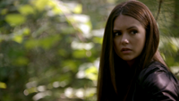 TVD106-043-Elena