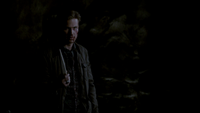 TVD319-177-White Oak Stake-Alaric