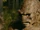 Antagonists in Legacies Season Two