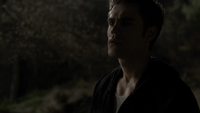 TVD120-138-Stefan