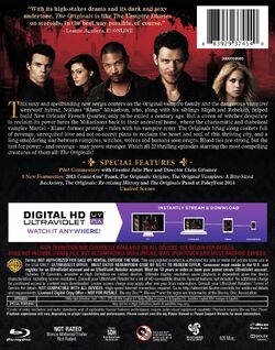 The Originals: The Complete First Season (DVD) | The Vampire