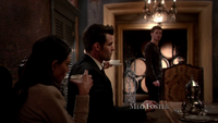 TO218-017-Hayley-Elixir Tea-Elijah-Elixir Tea~Klaus