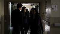 TVD201-033~Damon-Elena-Bonnie