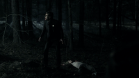 TVD119-133-Stefan-Amber