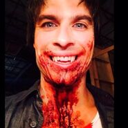 Ian Somerhalder