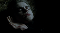 TVD117-133-Stefan~Elena