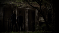 TVD221-079-Stefan-Elijah