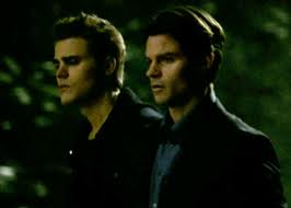 Damon Salvatore Elena Gilbert Niklaus Mikaelson Stefan Salvatore