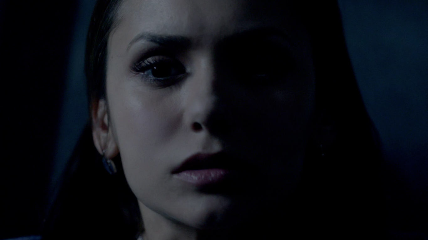 TVD 3x21 - Alaric is an Original vampire hunter and he has Elena, Bonnie  has a plan to stop him