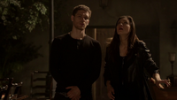 TO210-121-Klaus-Hayley