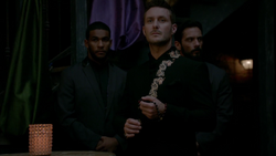 TO406-092-Dominic.png