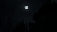 TO117-016-Full Moon.png (609 KB)