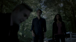 801-045-Stefan-Bonnie