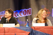 2010 NYCC 24