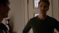 7X06-25-Stefan.jpg (48 KB)