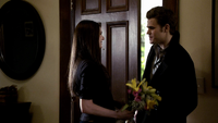 TVD116-038-Elena-Stefan