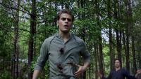 TVD205-081-Stefan~Damon