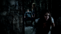 TVD307-114~Stefan-Lexi-Elena