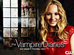 the vampire diaries season 4 cast wallpaper
