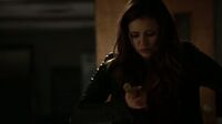 6X11-91-Elena