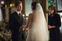TVD Episode Still of 6x21 I'll Wed You in The Golden Summertime ~ Alaric  and Jo's Wedding