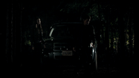 TVD109-156-Elena-Stefan