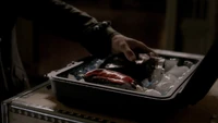 TVD401-163~Klaus-Blood Bags.png (1.84 MB)