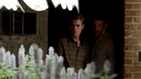 TVD104-048-Vervain-Stefan