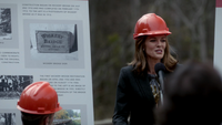 TVD317-035-Wickery Bridge Restoration-Carol.png (1.41 MB)