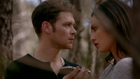 TO320-053-Klaus-Hayley